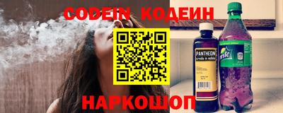 индика Дубна