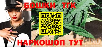 индика Дубна