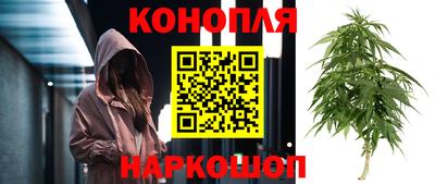 дживик Донской
