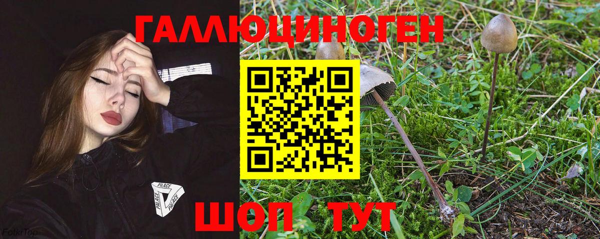 что такое наркотик  Вход с VPN  Горно-Алтайск  Галлюциногенные грибы прущие грибы 